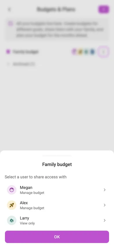 Sharing a budget (mobile)