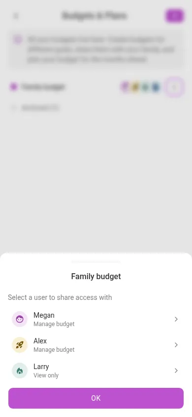 Sharing a budget (mobile)