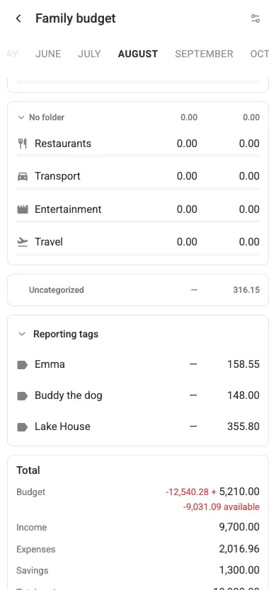 The Reporting tags block (mobile)
