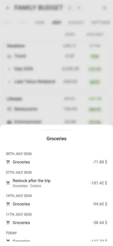 Spending details for a category (mobile)