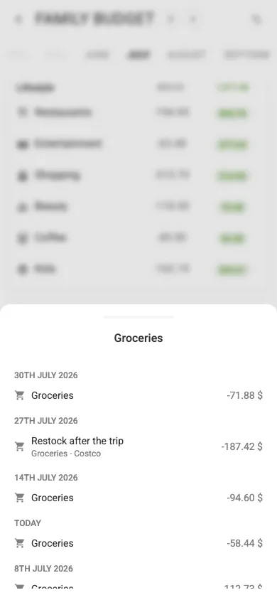 Spending details for a category (mobile)