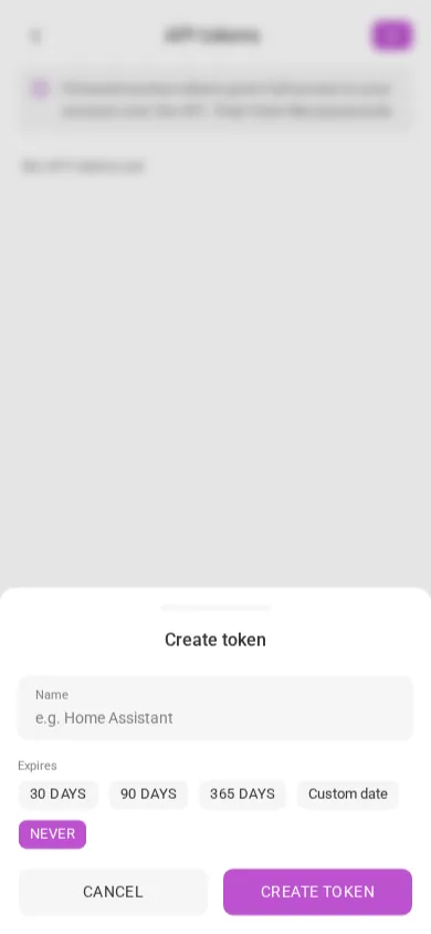 The create-token dialog (mobile)