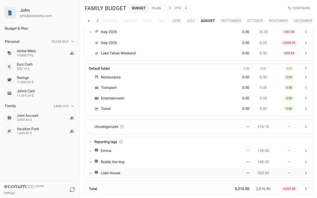 Per-tag totals in the Reporting tags block on the budget page (desktop)