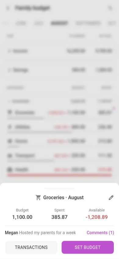A budget row's sheet on a phone, with Set budget and Transactions buttons